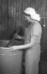 Trønderfrukt på Røra