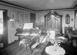 Hjemme hos Ranka Samuelsen