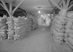 Felleskjøpets lager på Brattøra