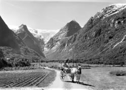 OLDERDALEN, NORDFJORD. POSTKORT. FOTO, NORMANN. LANDSKAP. HE