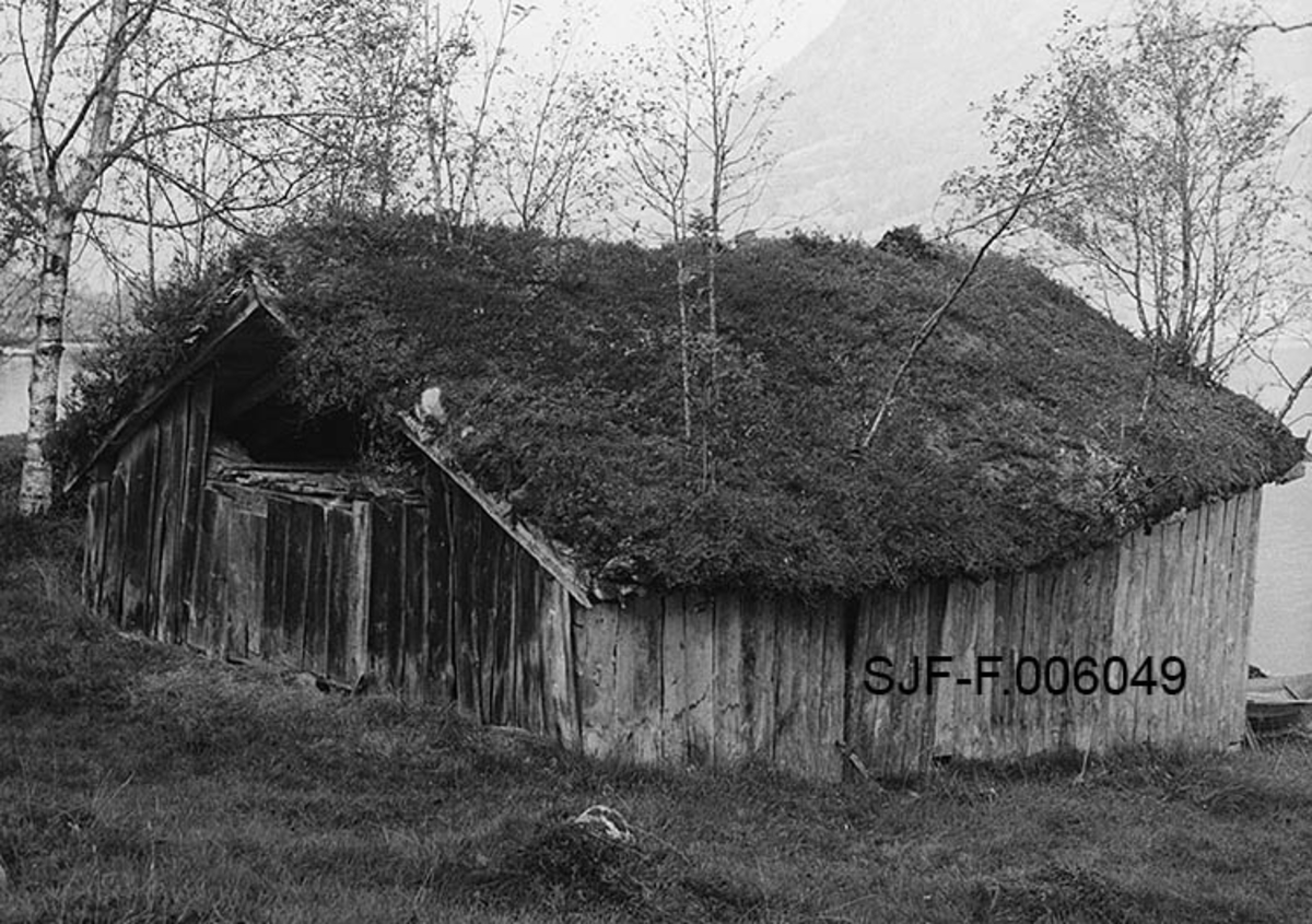 Naustet til Nikolai J. Gjesdal (1889-1973) ved Vassenden i Jølster i Sunnfjord i Sogn og Fjordane.  Fotografiet er tatt fra oversida av bygningen, med Jølstervatnet (Jølstravatnet) i bakgrunnen.  Naustet er en umalt, bordkledd stavkonstruksjon med torvtekt sperretak.  Gavlveggen som vender mot fotografen er bordkledd opp til beiten, men åpen i røstet.  På taket vokste det en god del lauvtrær da fotografiet ble tatt, noe som vel tyder på at det var ei stund siden taket ble lagt om da dette fotografiet ble tatt høsten 1968.  Nedenfor naustet, mot vatnet, ligger en båt som antakelig hadde naustet som opplagssted.  Fotografiet ble tatt like før to karer fra Norsk Skogbruksmuseum startet arbeidet med å demontere naustet med sikte på å flytte det til museets friluftsmuseum på Prestøya i Elverum. 

Jølsternaustet er 790 centimeter langt og 456 centimeter bredt og har følgelig ei grunnflate på 36 kvadratmeter.  På gavlen mot vassdraget er rafthøyden 217 og mønehøyden 365 centimeter.  På den bakre eller vestre gavlen er rafthøyden 125 og mønehøyden 258 centimeter. 