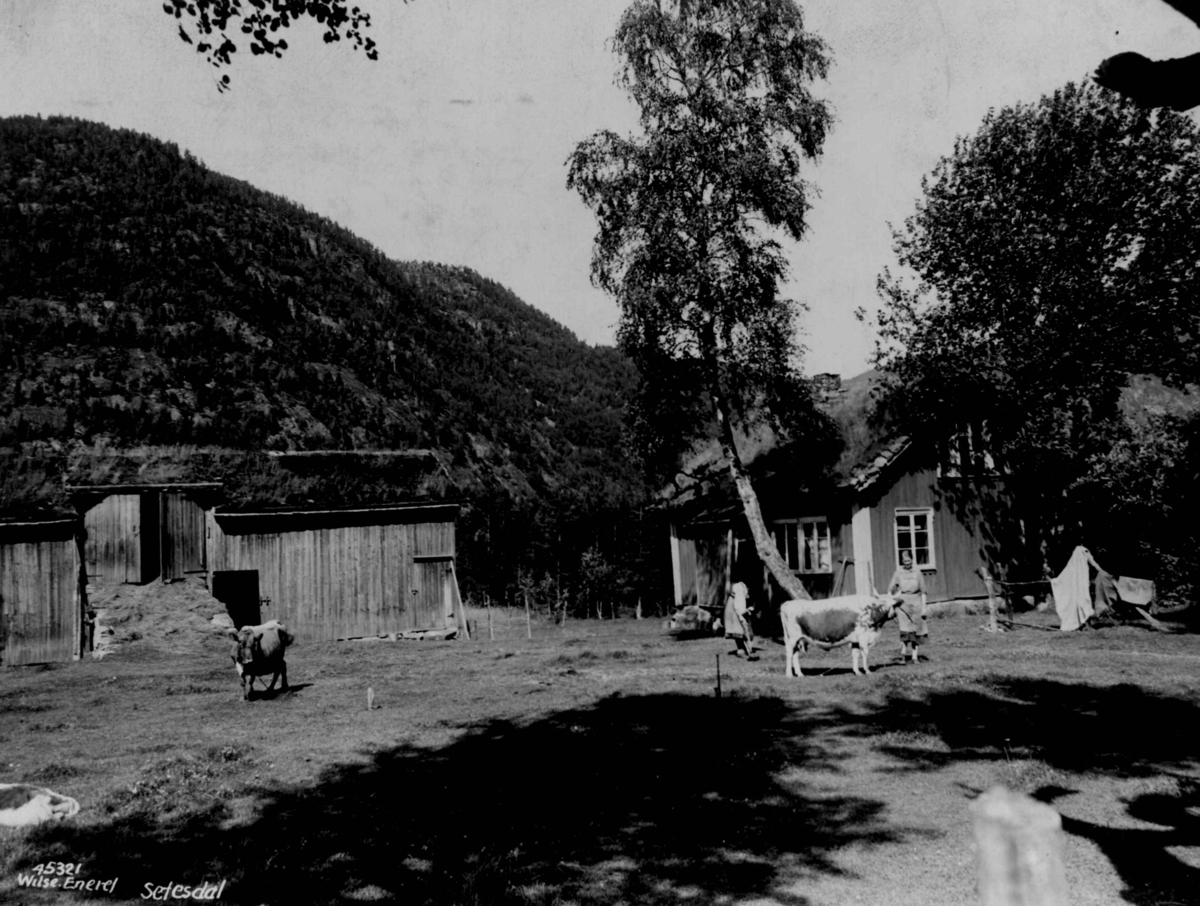 Setesdal med bebyggelse og husdyrhold i 1937.