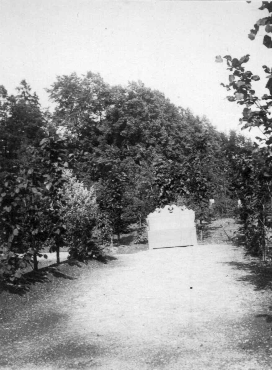 Fra Prestegårdshagen 1915. En vei fører frem mot en benk som er omkranset av trær.