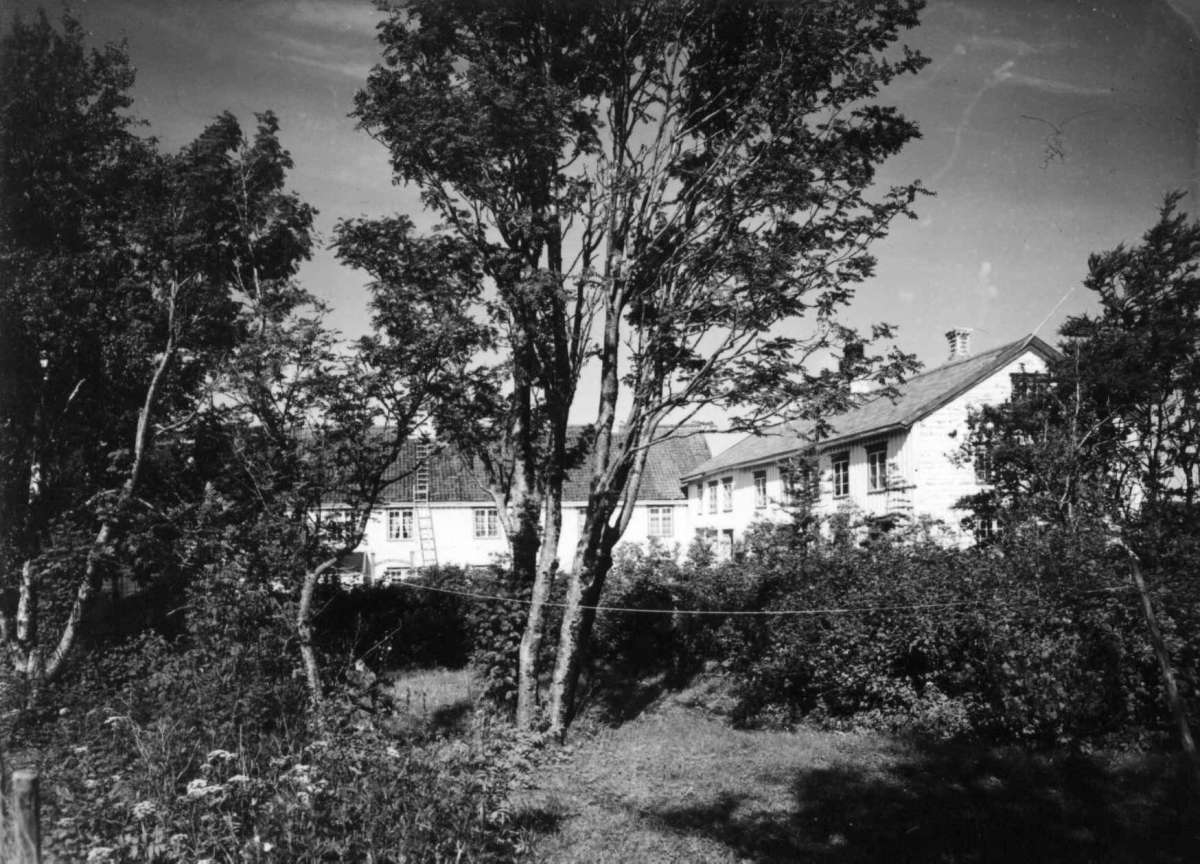 Kjerringoy
Fra dr. Eivind S. Engelstads storgårdsundersøkelser 1954.