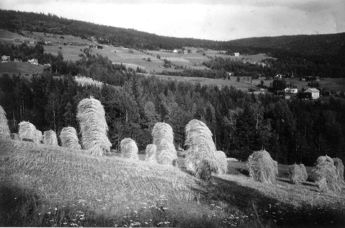 Kirkebygda, Eggedal, Sigdal. 1930. Oversiktsbilde. Landskap. Bebyggelse. Gårder. I forgrunnen kornstaurer. 