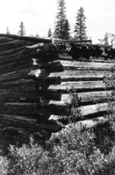Hjørnedetalj av laftet slåttebod, Kärentöjärvi 1958.