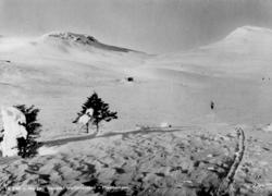 Avfotografert postkort. En enslig, kvinnelig skiløper på tur