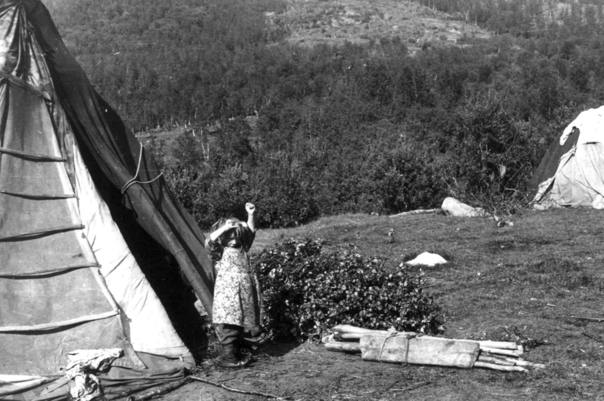 Sameleir. Et barn utenfor teltåpningen.