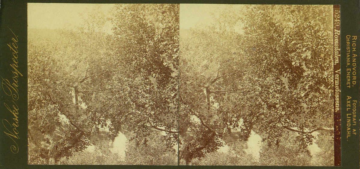 Vermafossen, Rauma, Møre og Romsdal.
Fra fotograf Axel Lindahls (1841-1906) serie stereofotografier, "Norske Prospecter".