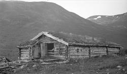 Fjøs, Vindalssætra, Storlidalen, Oppdal, Sør-Trøndelag. Foto