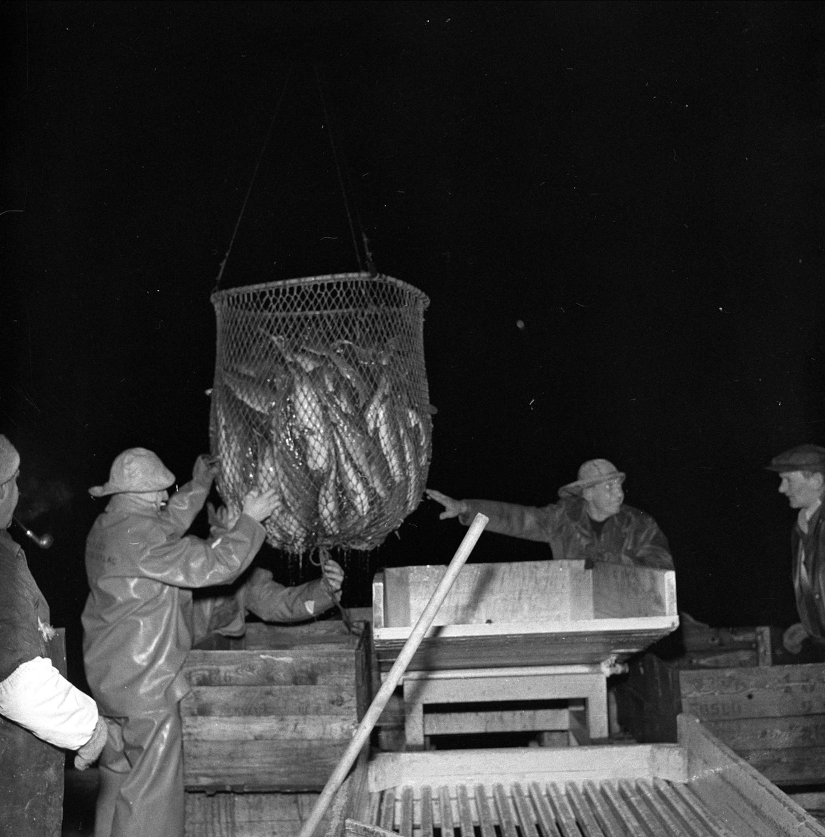 Juletorsken kommer til Oslo, 24.12.1956