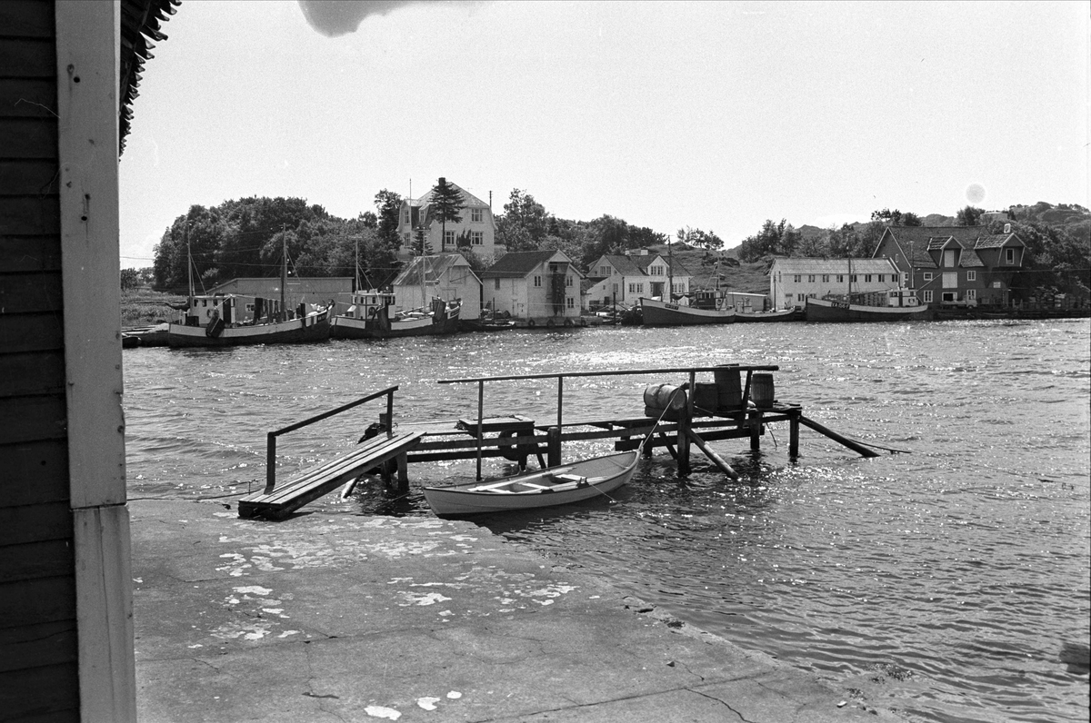Hidra, Flekkefjord, juli 1968. Havn.