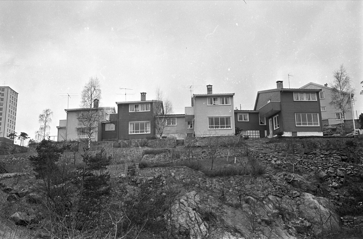 Kristiansand, april 1967. Boliger på en høyde.