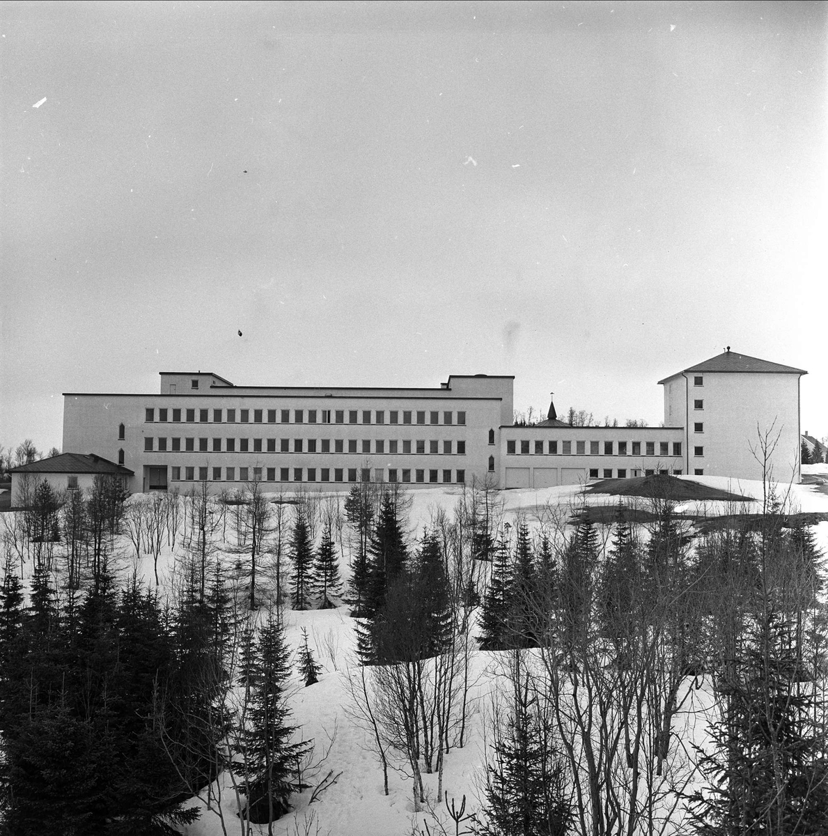 Tromsø Museum-Universitetsmuseet, Lars Thøringsvei 10, Troms, april 1963. Bygning.