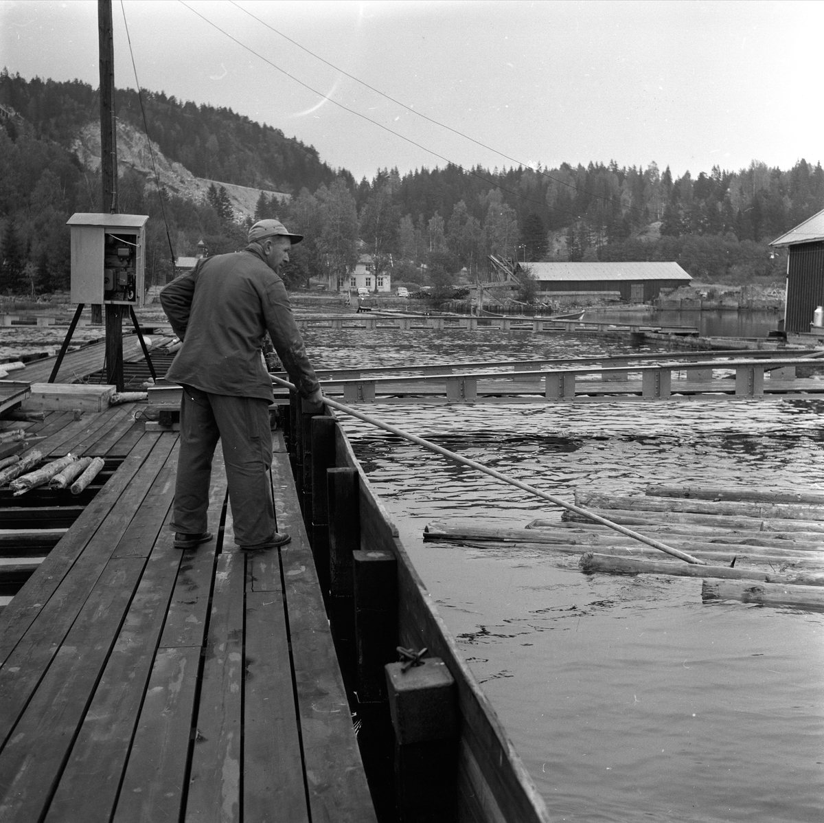 Tømmerfløting ved Fredrikstad, Østfold, 10.10.19659. Mann i arbeider med tømmer.
