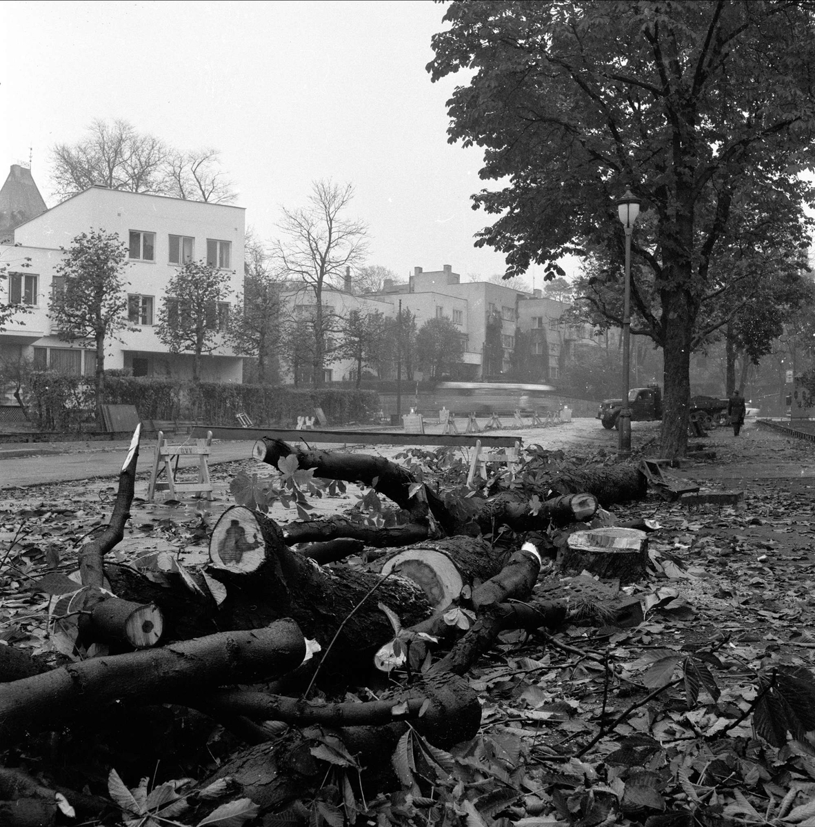 Bygdøy allé, Oslo, oktober 1958. Hogst av trær.