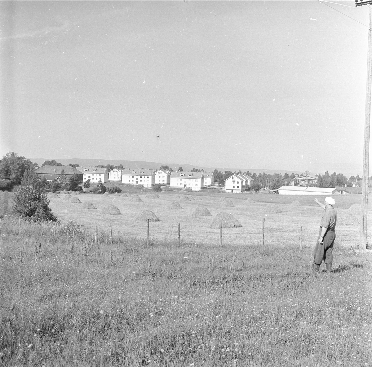 Nordseter gård, Oslo, 12.07.1955. Mann på jorde peker mot bebyggelse.