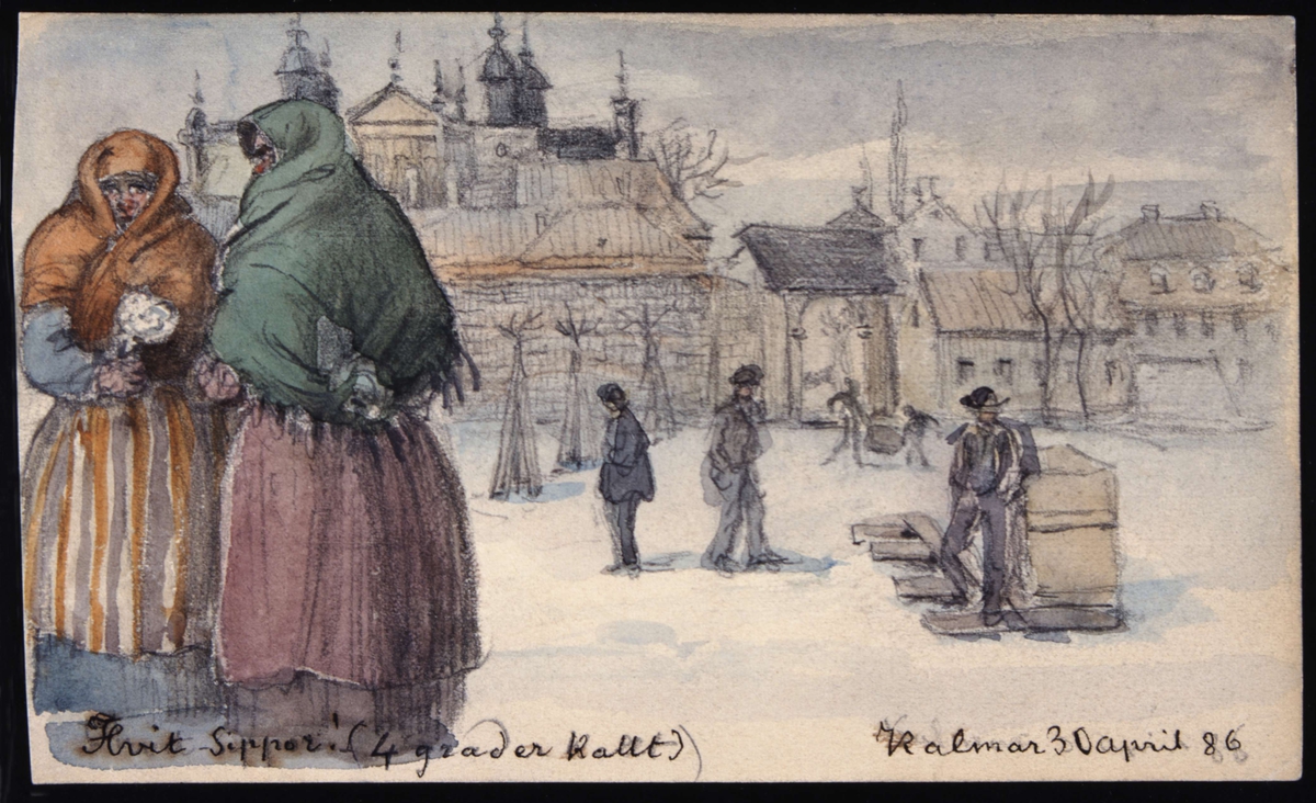 "Hvitsippor (4 grader kallt). Kalmar 30 april 86."
 Akvarell av Fritz von Dardel, 1886