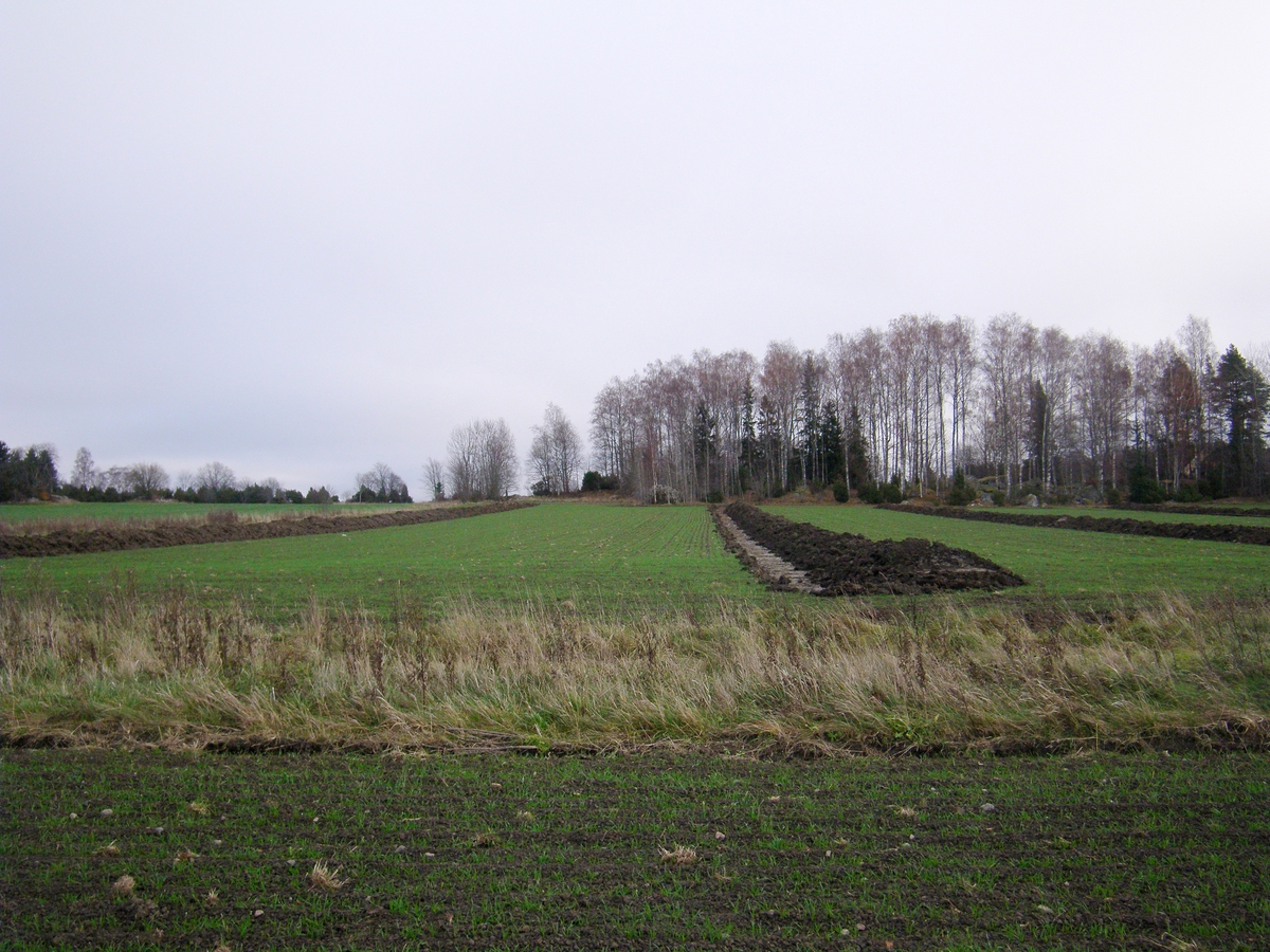Arkeologisk utredning, Bälinge Ekeby, Bälinge socken, Uppland 2011