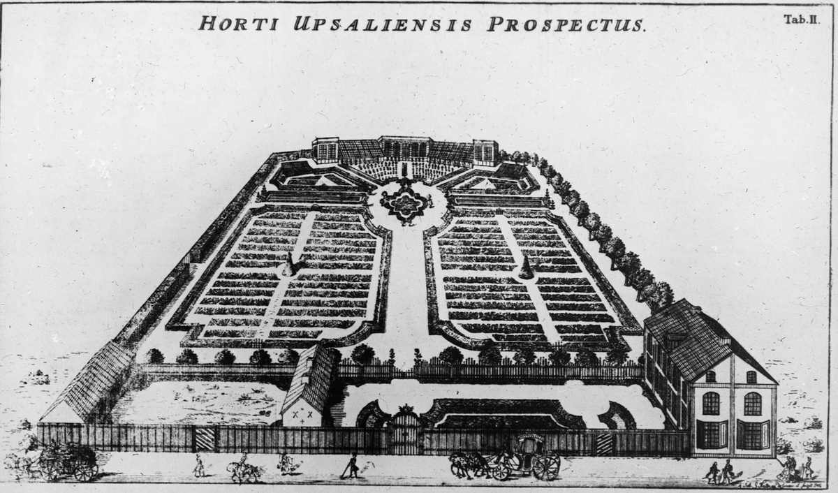 Gravyr med perspektivbild över Linnéträdgården