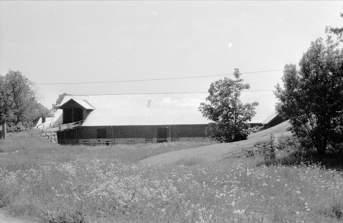 Ladugård och loge, Hammarby 1:1, Hammarby, Danmarks socken, Uppland 1977