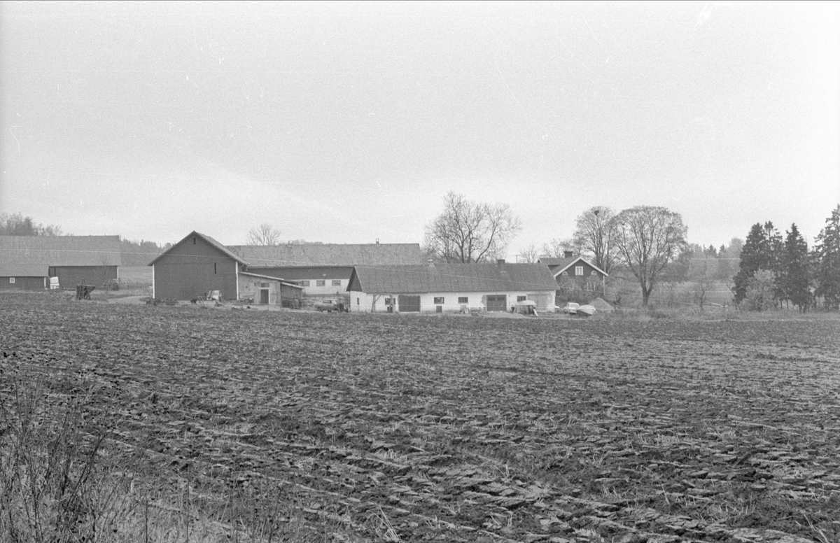 Vy över Fullerö gård, Fullerö 21:36, Fullerö, Gamla Uppsala socken, Uppland 1978