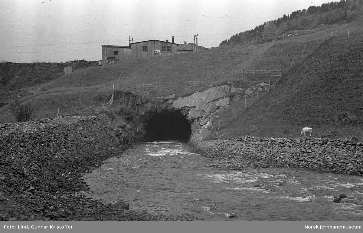 Nordlandsbaneanlegget : Saksenvikelva vanntunnel