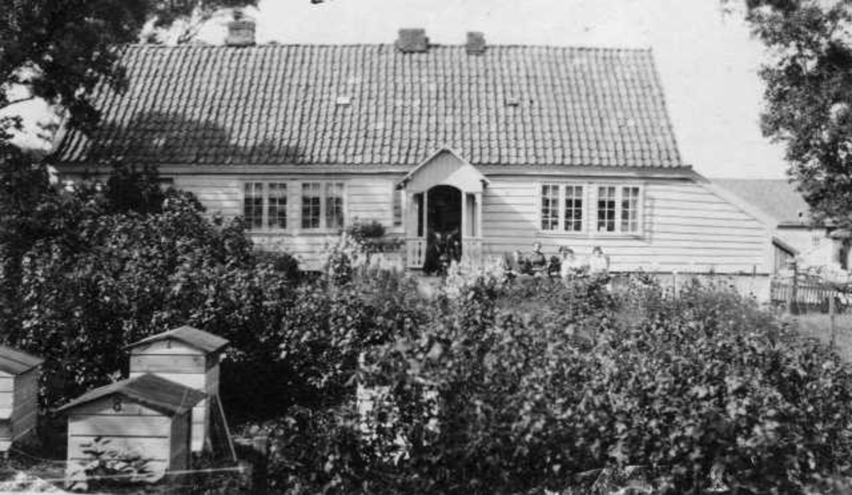 Torval J Stokkas hus: jærhus, i forgrunnen en hekk og bikuber.

Supplerande opplysningar frå informant:
Torvald Jonasson Stokka (1865-1952).
Samme bilde i Høglands G & Æ side 396.