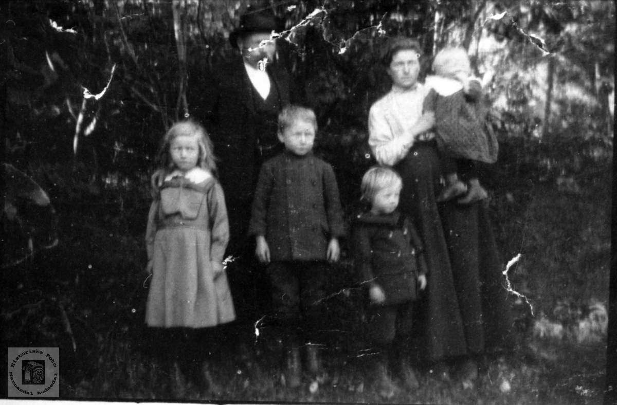 Familiegruppe Skaar, Øyslebø.