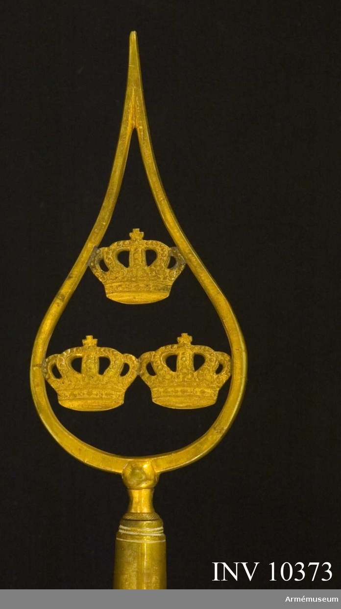 Grupp B I. 
Duk av taft, dubbel, delad i två halvor, den övre gul den undre blå, med broderade emblem. På ena (inre) sidan Karl XV:s namnchiffer, dubbla C omkring XV och däröver sluten kunglig krona, allt i guld, kronan dessutom med foder i rött silke och stenar i rött och blått silke, det hela i plattsöm. På andra (yttre) sidan: Skånes sköldemärke, ett rött griphuvud krönt av en öppen krona. Gripen är vänd från stången och broderad i olika röda silken i schattersöm. Ögat i vitt silke, krona i gult silke med silverpärlor och blå och röda stenar i silke, allt detta i plattsöm. Kantad med sidenband och ca 6 cm bred frans av gult och blått silke. Fäst med förgyllda spikar.

Stång med spets av tre kronor inom lyrformad ram. Övre delen räfflad, nedre delen slät, målad blå med gula räfflor. 
Längd  från spetsen till dukens underkant 0,6 m och till handgreppet  1,38 m. Holk i lång rem.