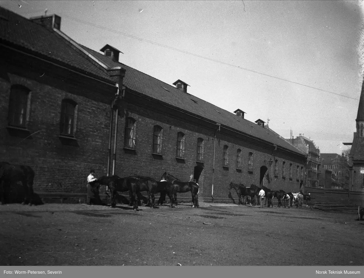 Stelling av hester, forsvarets anlegg Akershus