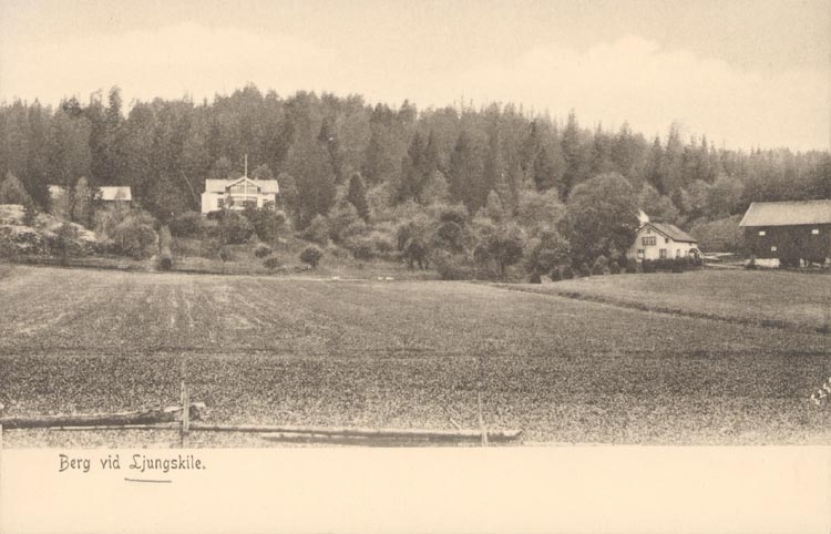 Tryckt text på kortet: "Berg vid Ljungskile".