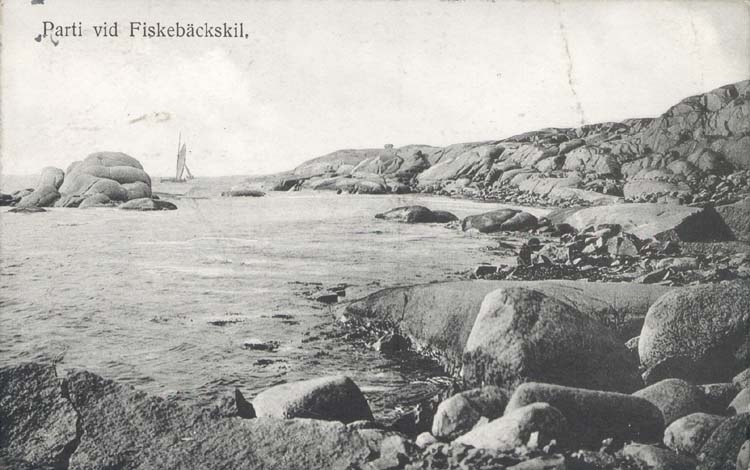 Tryckt text på kortet: "Parti vid Fiskebäckskil."