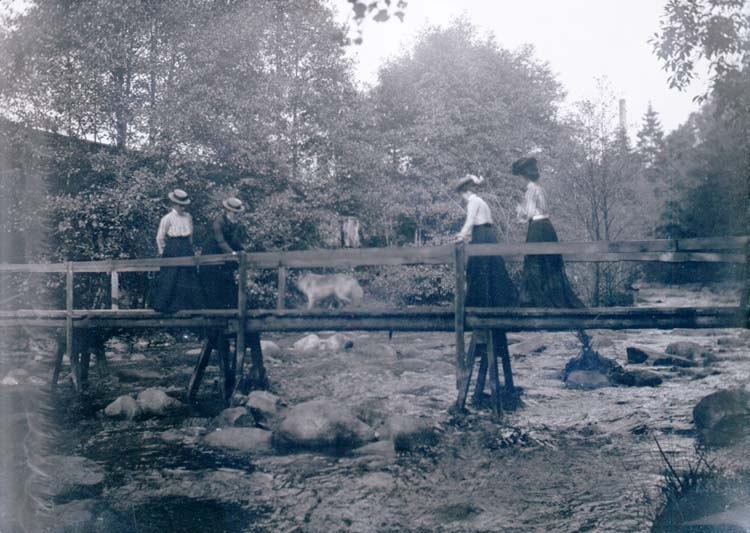 Fyra kvinnor och en hund går över en mindre träbro.
