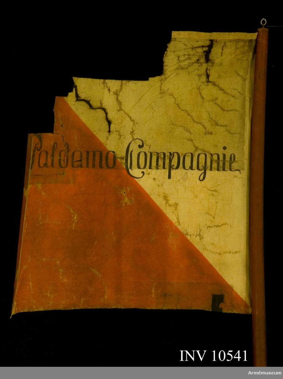 På dukens ena sida texten "Kongl Cajana Bataillon" och på den andra "Paldamo Compagnie". Duken är delad diagonalt i ett ljusare inre övre fält och ett mörkare nedre yttre fält.
