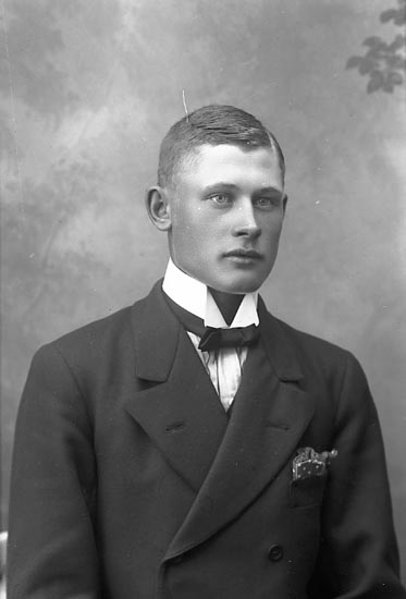 Enligt fotografens journal Lyckorna 1909-1918: "Pettersson Einar Kärr Ljungskile".