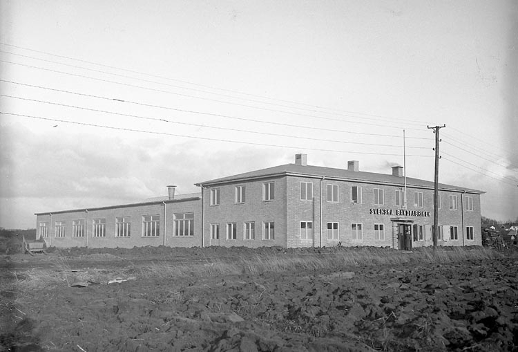 Enligt fotograrens journal nr 7 1944-1950: "Svenska Bandfabriken Här".