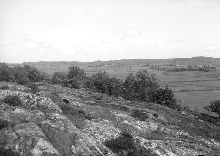 Juli 1924. Svanviksslätten, Valla.