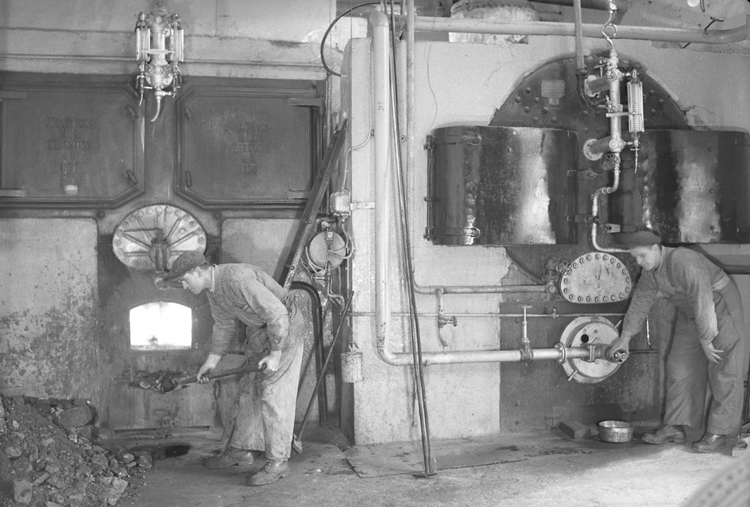 Eldare vid ångpannan Westkustens Olje & Guanofabrik 1949