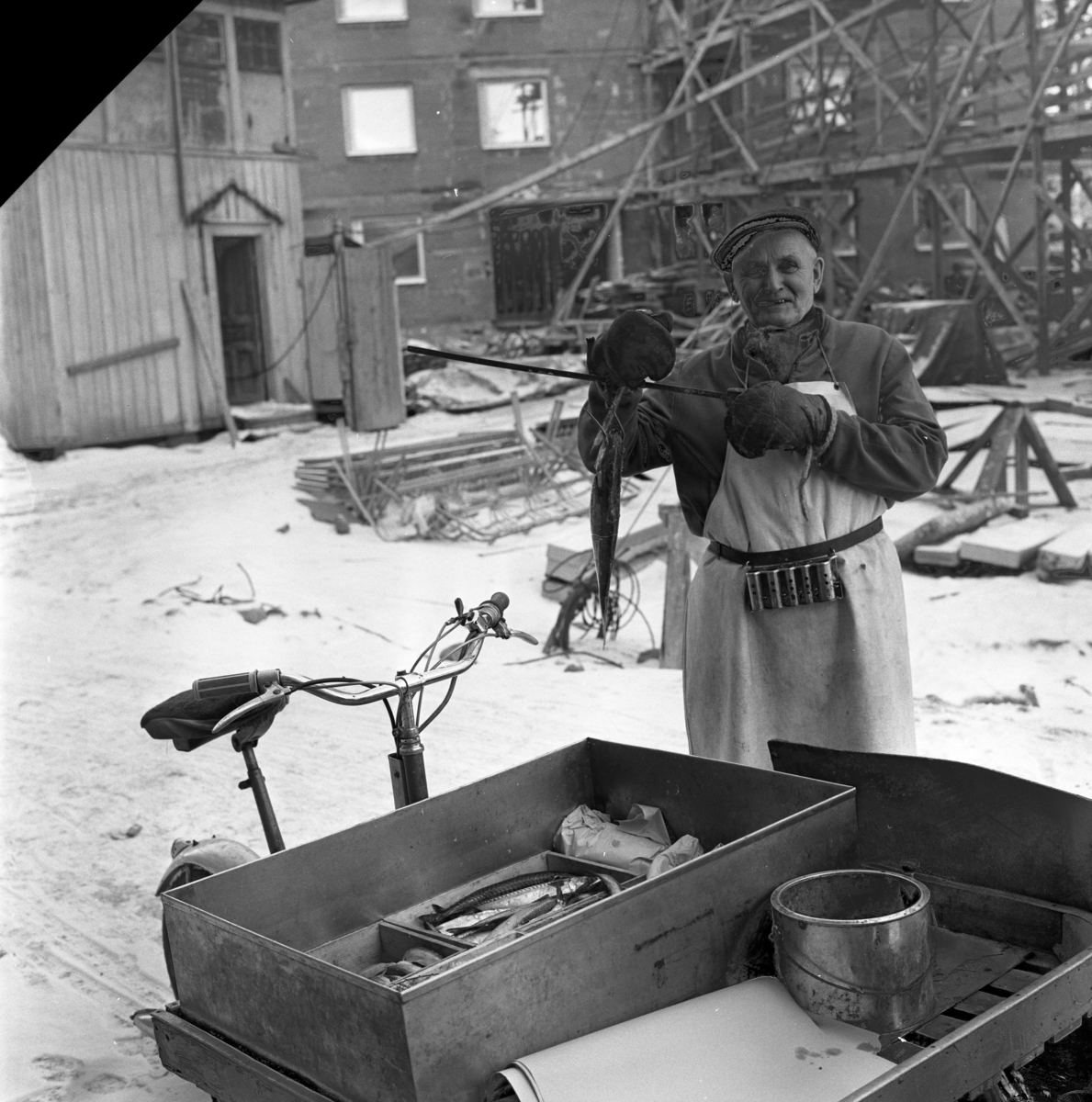 Fiskhandlare Algot Frisk åkte runt i Huskvarna och sålde fisk från sin flakmoped. Här väger han upp en fisk med sin handvåg. Runt midjan har han sin kassaapparat .Bild från 1962.