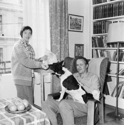Marit og Jens Bolling med hund og katt.