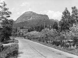 Lommedalsveien og Kolsås