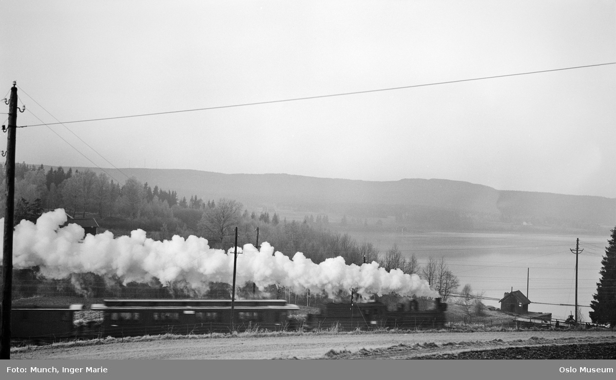 Bergensbanen, jernbane, togsett, damplokomotiv, damp, vann, skog