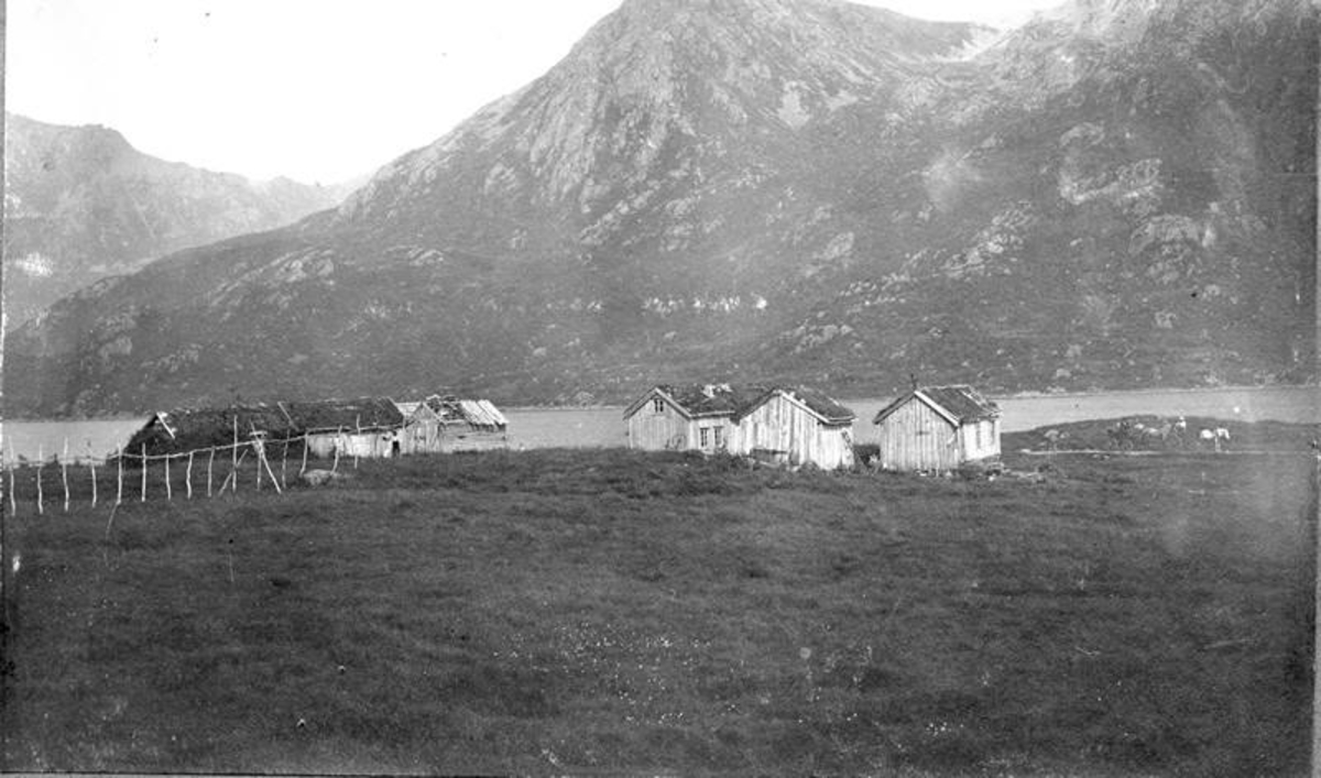 Gård  med bolighus, fjøs og tre sjåer (uthus) på Kavåsen ved Romsetfjorden i Vesterålen.