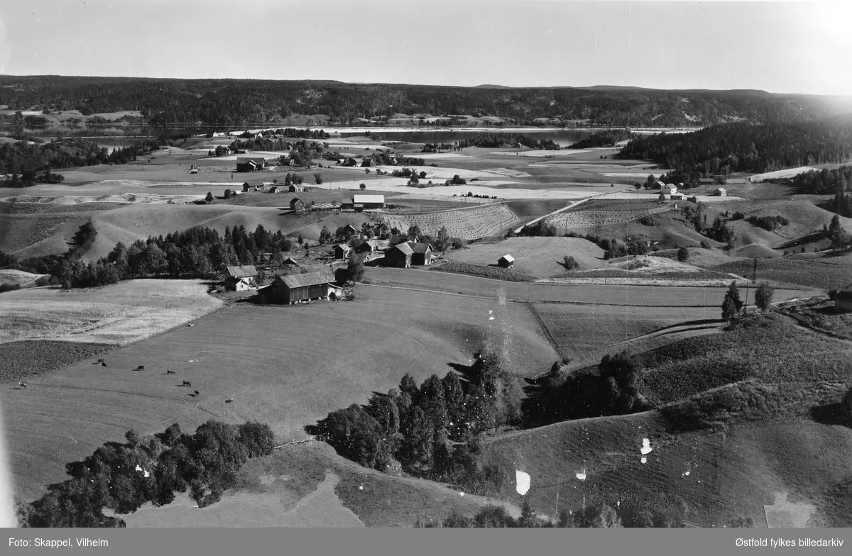 Gjerstad gård i Skiptvet, flyfoto 18. august 1951.