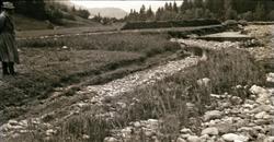 Mann ved tørt elveleie, hesjer i bakgrunnen