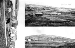 Partier fra Varøya, Nærøy