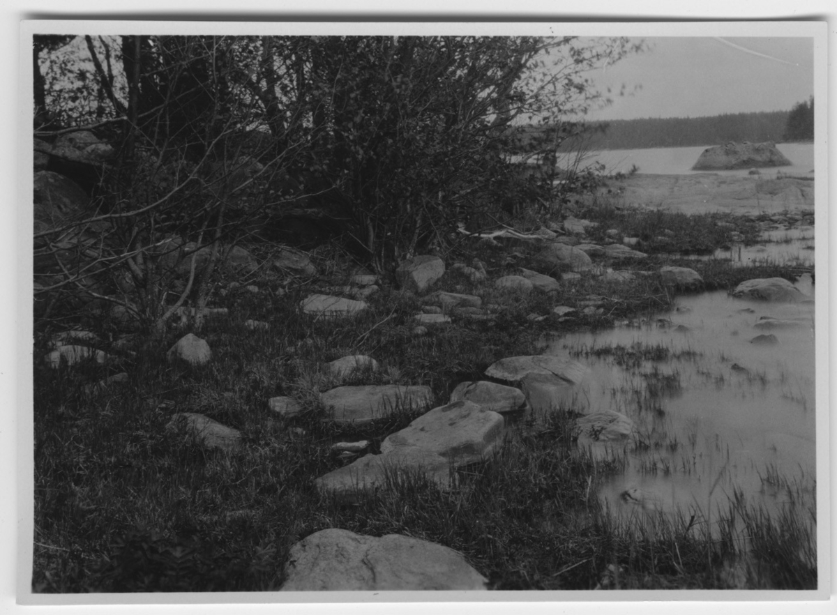 'Storlom, häckplats i Mjörn, vy. Vattenbryn med stenblock i förgrunden. ::  :: Se serie med fotonr. 1258-1304.'