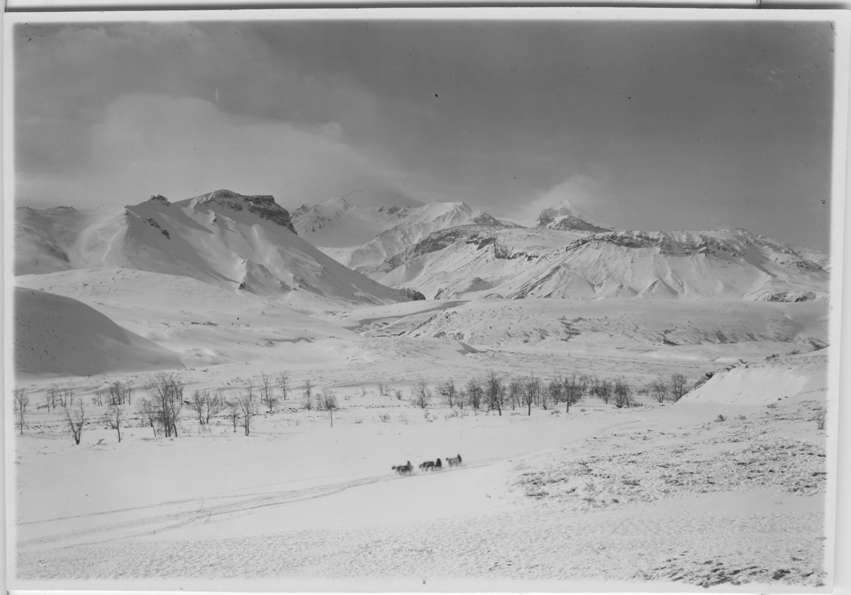 'Fjällvärld i snö med en hundsläde på avstånd. :: (foten av 5 ) :: vid foten av Bjelaja Sopka (vita berget) ::  :: Serie fotonr 4916-4930. :: Kartskiss fotonr. 4916:1 visar motivens läge.'