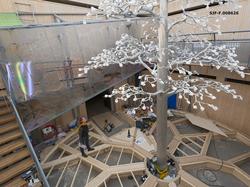 Fra produksjonen av utstillingen «Det fantastiske treet» i a